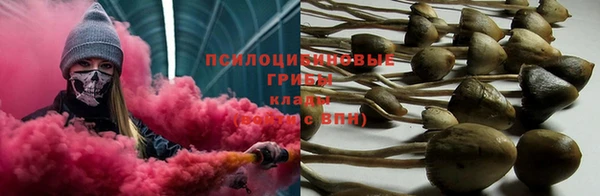 apvp Протвино