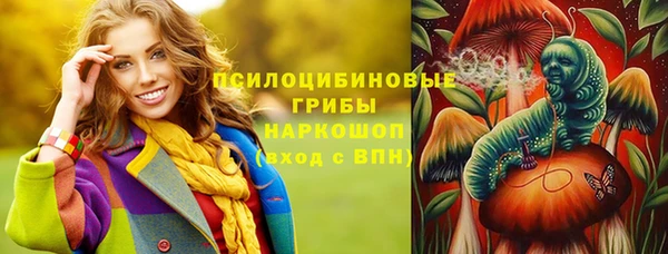 мяу мяу мука Баксан