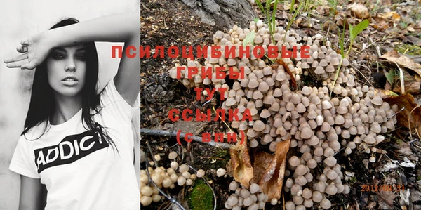 мяу мяу мука Баксан